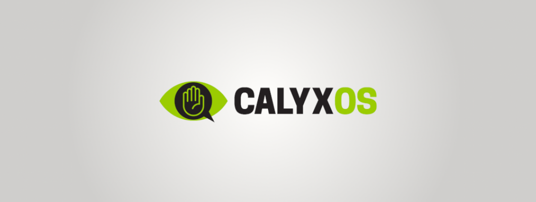 CalyxOS Setup Guide