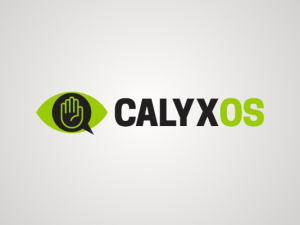 CalyxOS Setup Guide