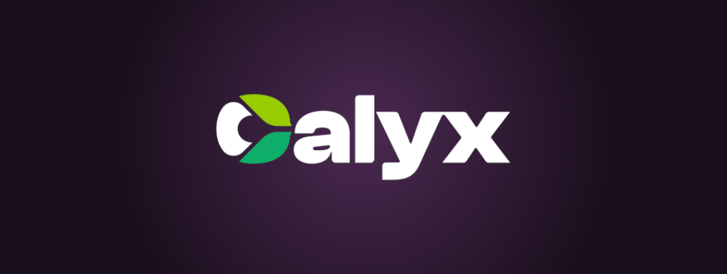 CalyxOS Setup Guide
