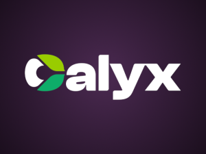 CalyxOS Setup Guide