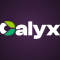 CalyxOS Setup Guide
