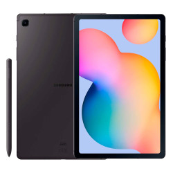 Degoogled Samsung Galaxy Tab S6 Lite (2024) - 64GB Wi-Fi - Gray
