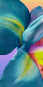 OnePlus 9 Pro Blue Flower