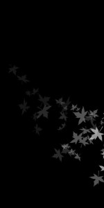 Dark Black Leaves