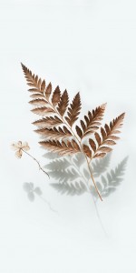 Enthusiast Fern