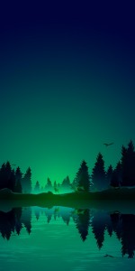 Green Night Forest
